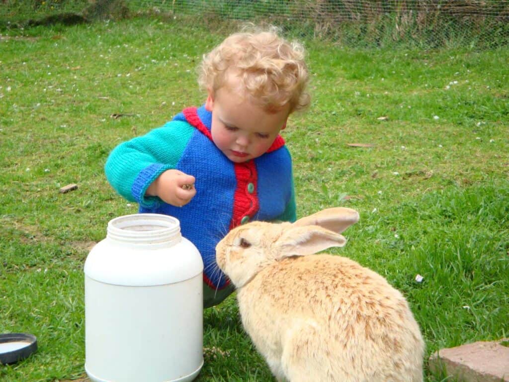 Bunny rabbit honey with Edmund Alexander 20 months old