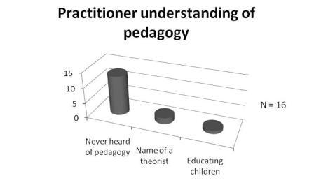 understanding of pedagogy