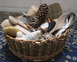 Treasure basket