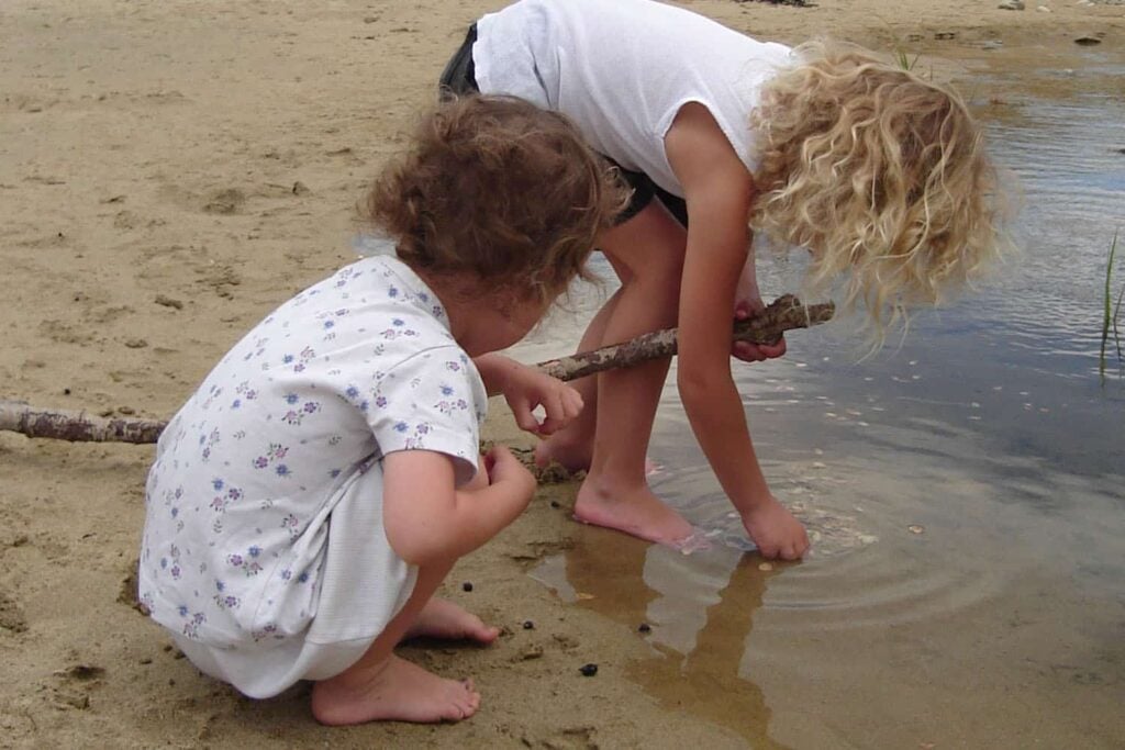 Young children exploring at beach and looking at shells in water.