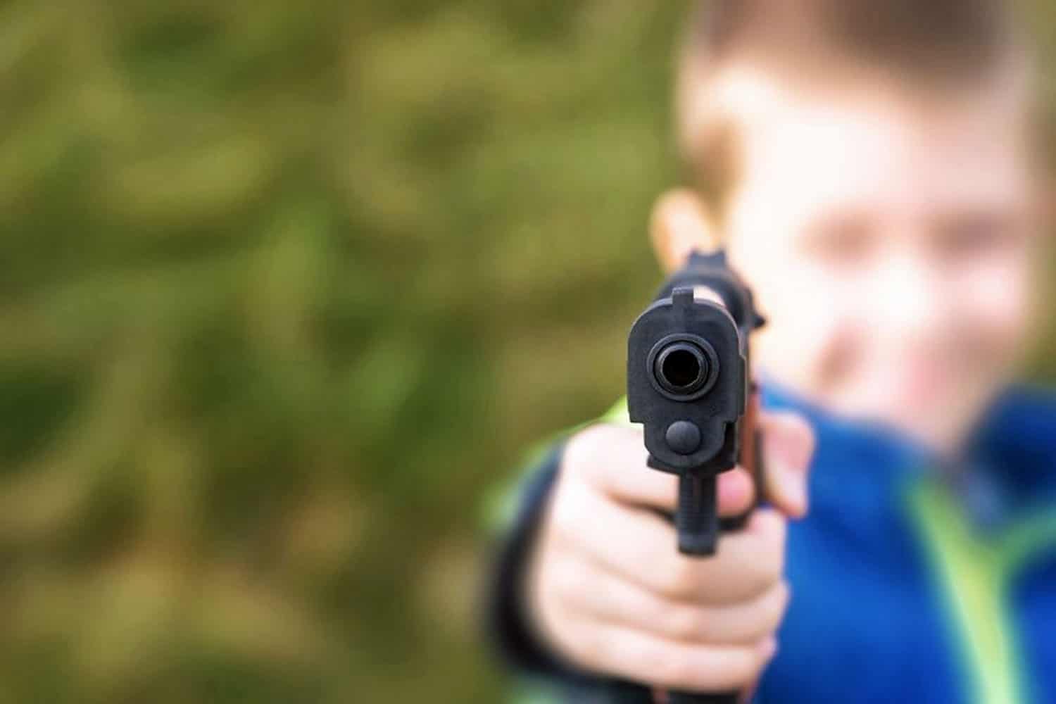 gun education