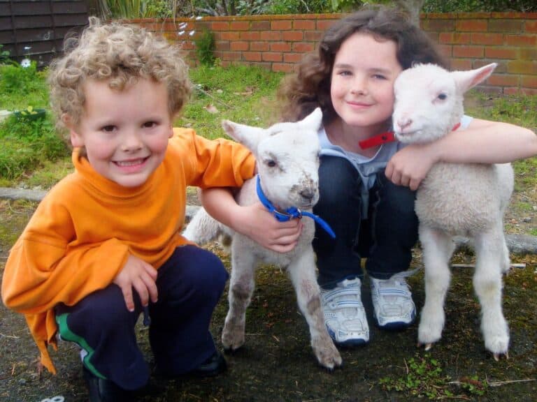 Lambs and young children