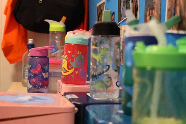 what to put in child's lunch-box